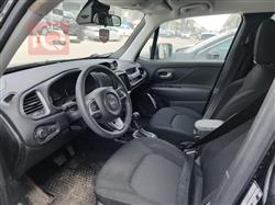 جيب رينيجيد